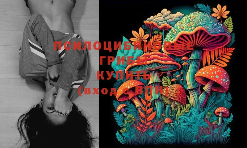 ссылка на мегу как зайти  Новый Уренгой  Псилоцибиновые грибы MAGIC MUSHROOMS  что такое  